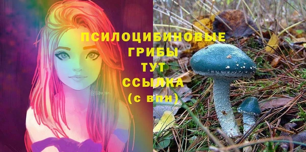соль ск Каменск-Шахтинский