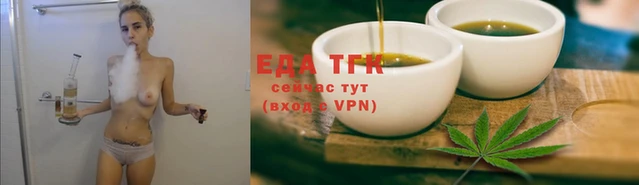 крисы Инта