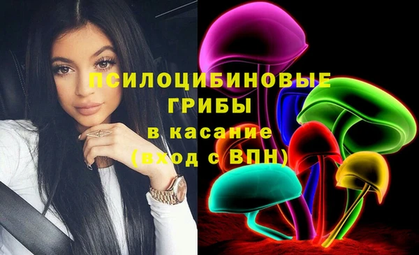 соль курить ск Каменка