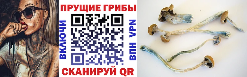 наркошоп  Йошкар-Ола  Галлюциногенные грибы мицелий 