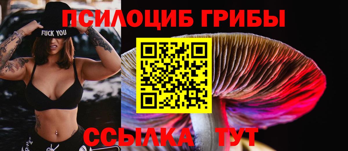 Галлюциногенные грибы Cubensis Йошкар-Ола